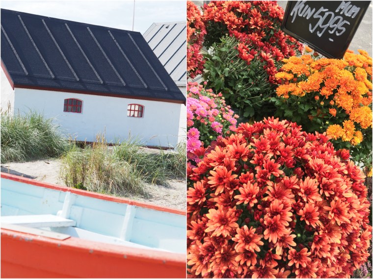 Danish living autumn flowers