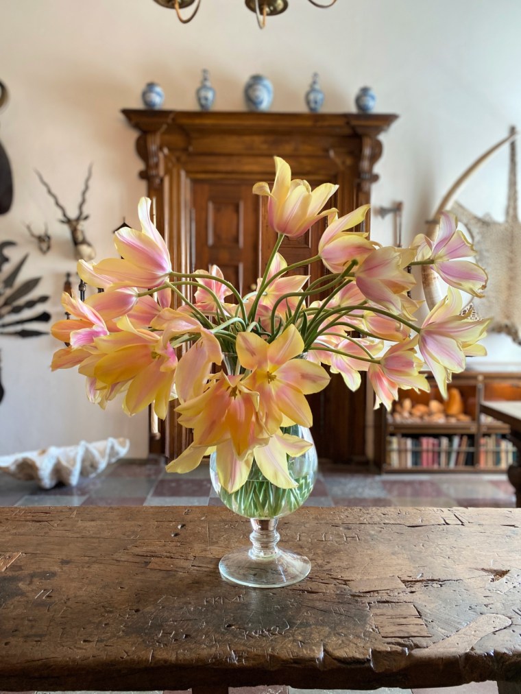 Egeskov slot _ linna Tanskassa