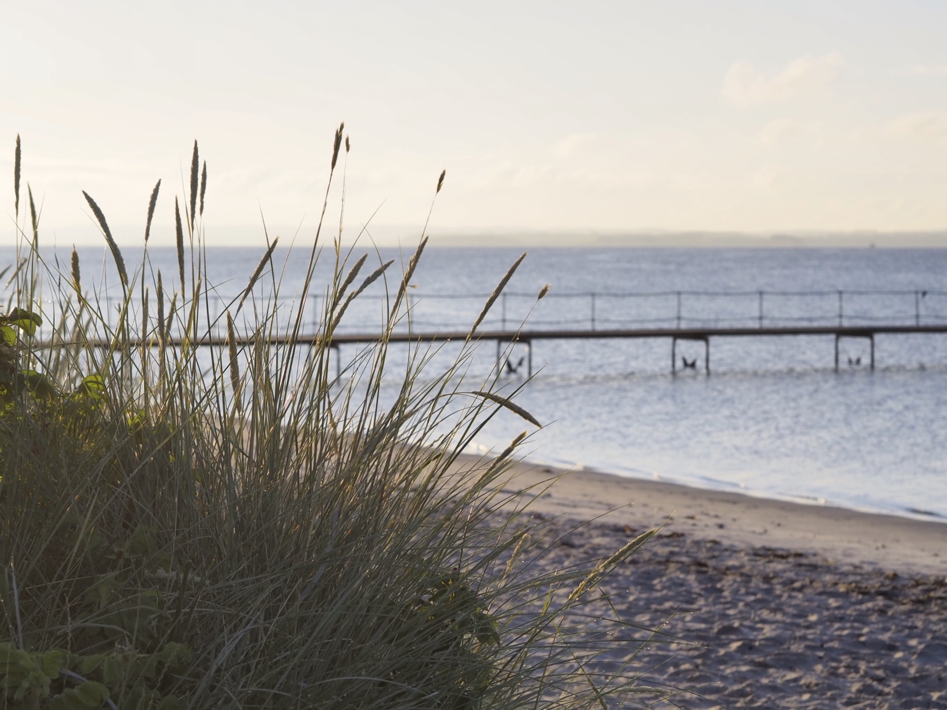 Risskov Beach Denmark